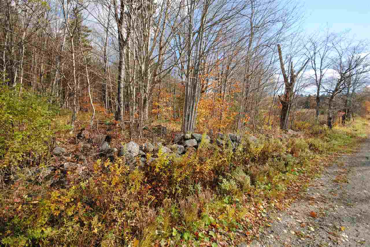 Lot 592 Stimpson Hill Road Whitingham, VT 05361 - Photo 10 of 13 Gallery Image 10
