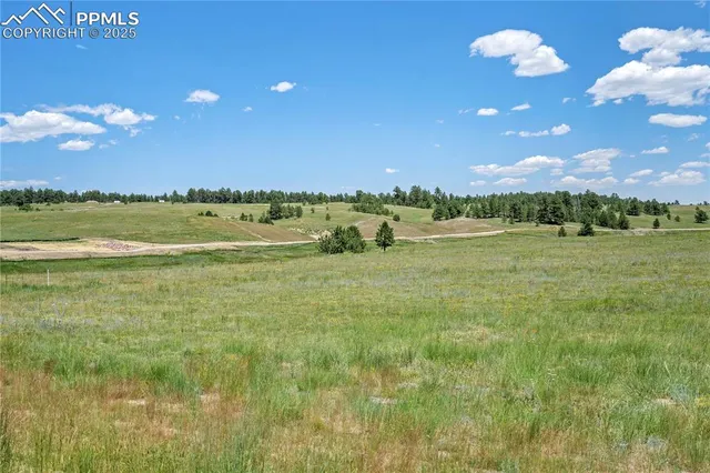 a view of a golf course with an ocean