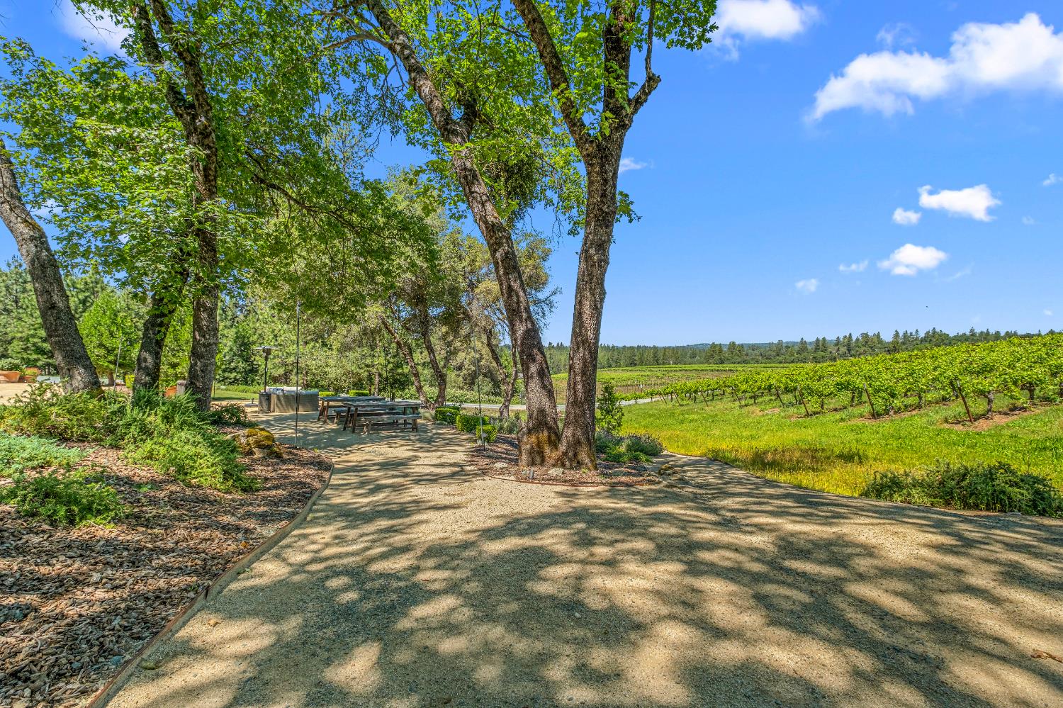 7460 Fairplay Road Somerset, CA 95684 - Photo 35 of 39
