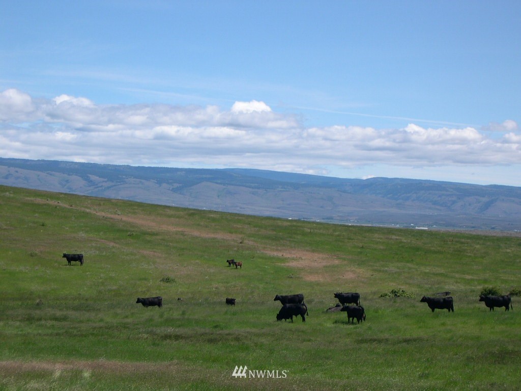 2000-xxx Hunter Road Ellensburg, WA 98926 - Photo 1 of 21 Gallery Image 1