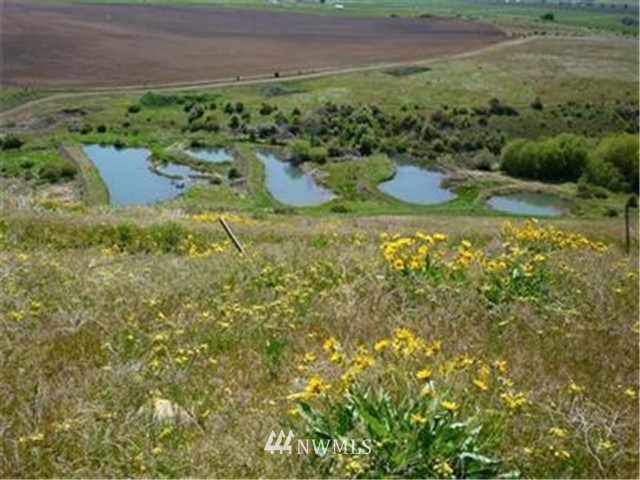 2000-xxx Hunter Road Ellensburg, WA 98926 - Photo 17 of 21 Gallery Image 17