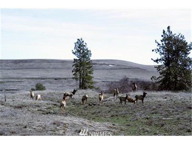 2000-xxx Hunter Road Ellensburg, WA 98926 - Photo 18 of 21 Gallery Image 18