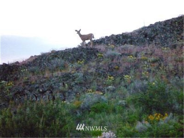 2000-xxx Hunter Road Ellensburg, WA 98926 - Photo 19 of 21 Gallery Image 19