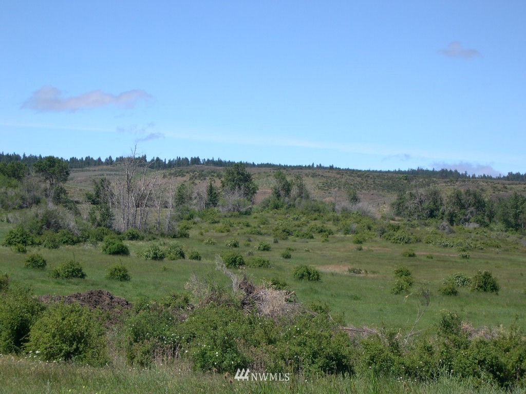 2000-xxx Hunter Road Ellensburg, WA 98926 - Photo 3 of 21 Gallery Image 3