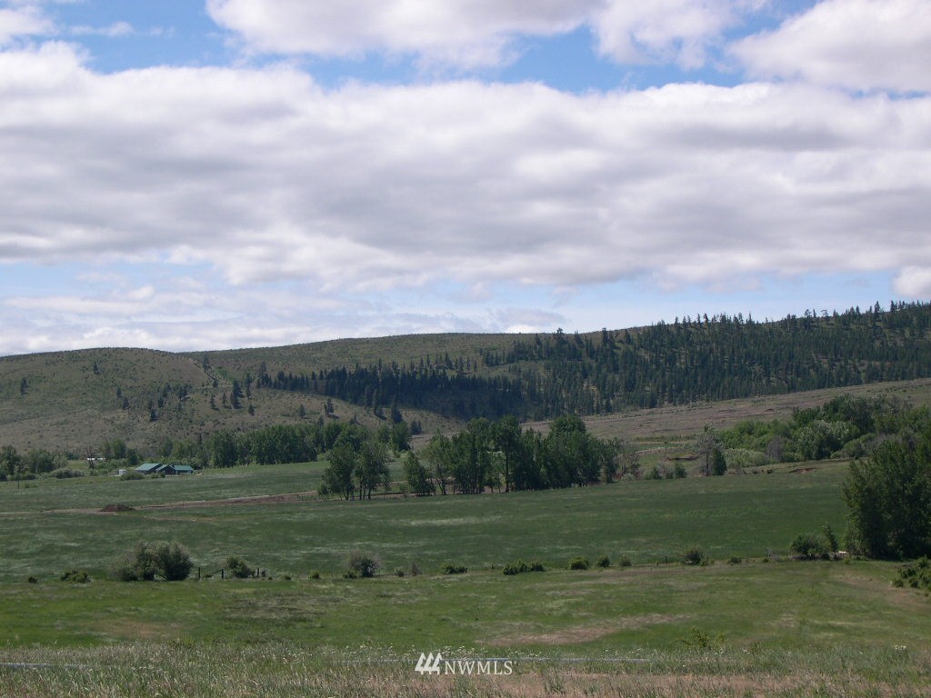 2000-xxx Hunter Road Ellensburg, WA 98926 - Photo 4 of 21 Gallery Image 4