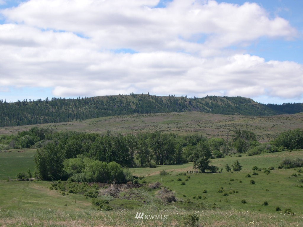 2000-xxx Hunter Road Ellensburg, WA 98926 - Photo 5 of 21 Gallery Image 5
