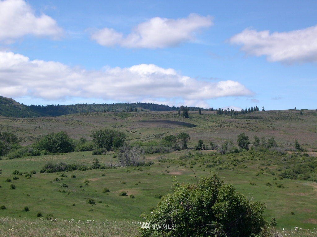 2000-xxx Hunter Road Ellensburg, WA 98926 - Photo 6 of 21 Gallery Image 6