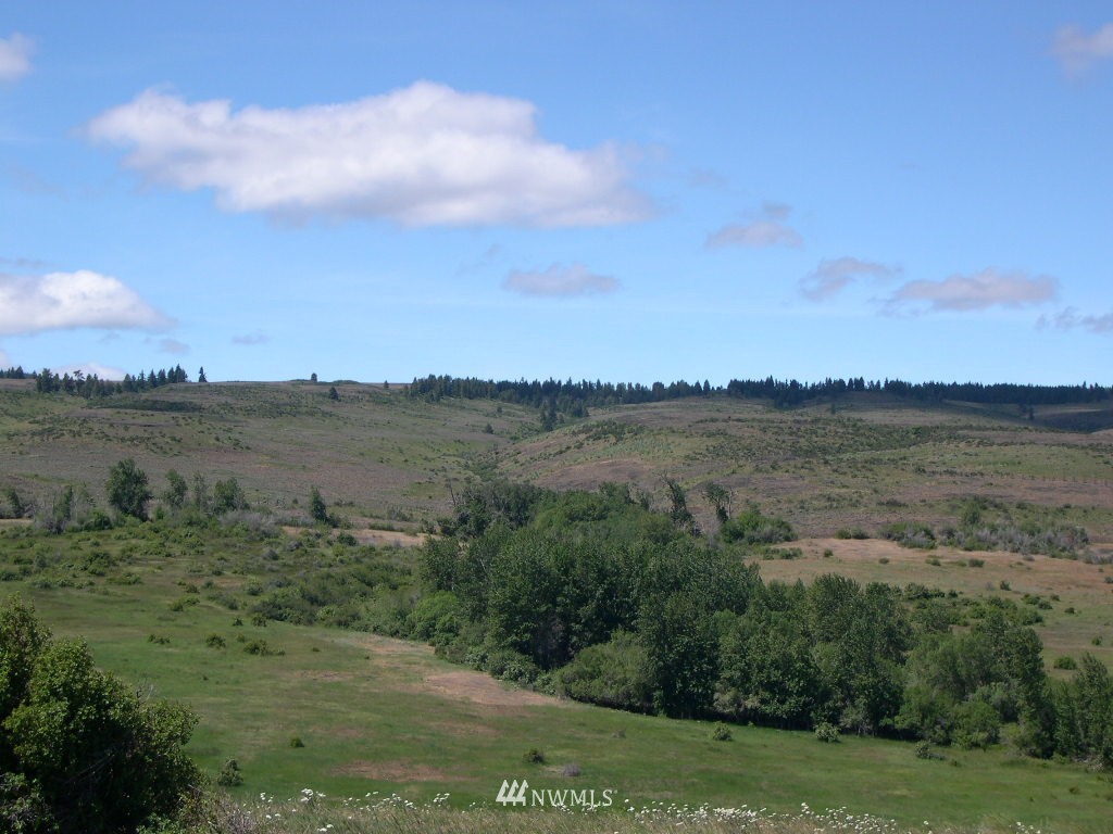 2000-xxx Hunter Road Ellensburg, WA 98926 - Photo 7 of 21 Gallery Image 7