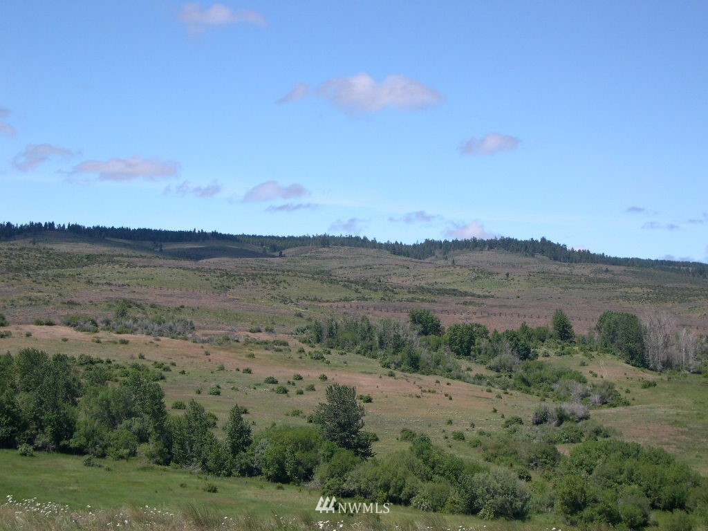 2000-xxx Hunter Road Ellensburg, WA 98926 - Photo 8 of 21 Gallery Image 8