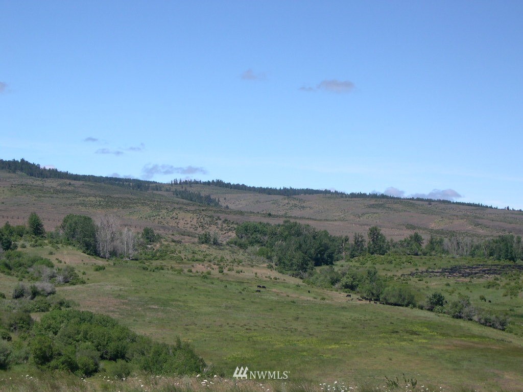 2000-xxx Hunter Road Ellensburg, WA 98926 - Photo 9 of 21 Gallery Image 9