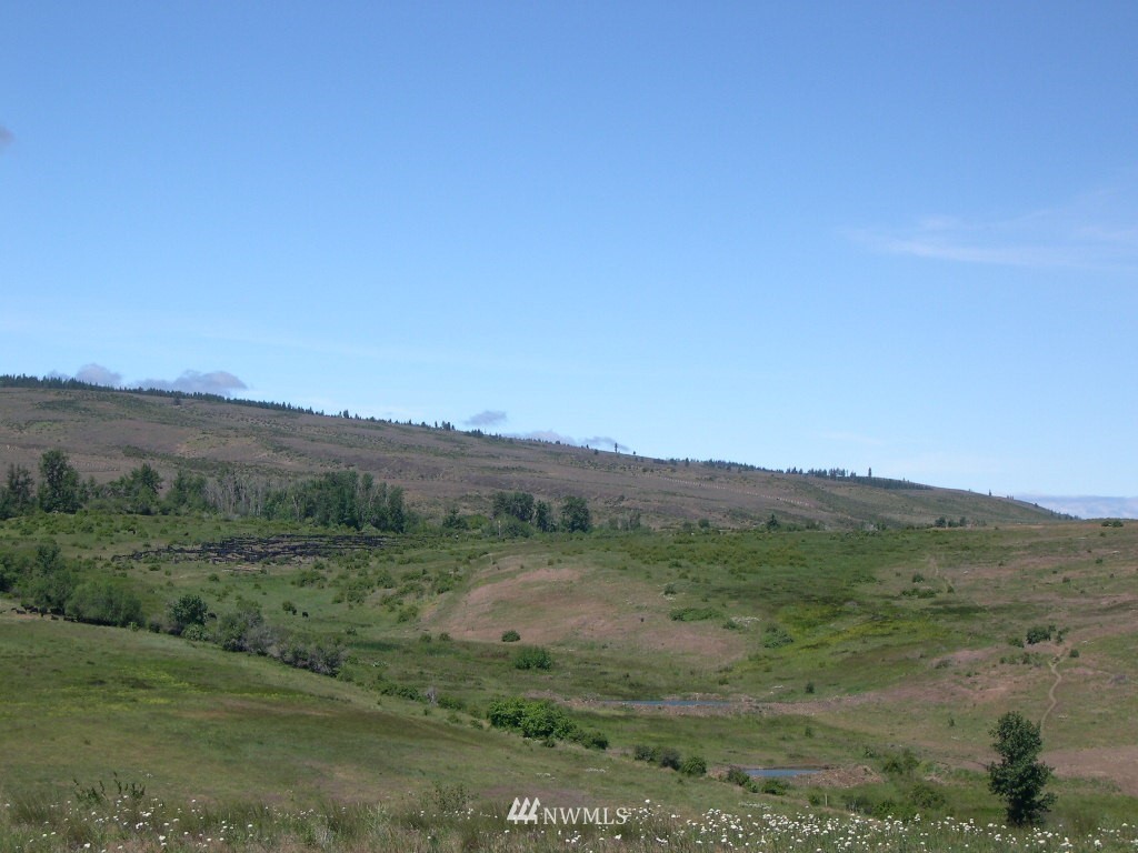 2000-xxx Hunter Road Ellensburg, WA 98926 - Photo 10 of 21 Gallery Image 10