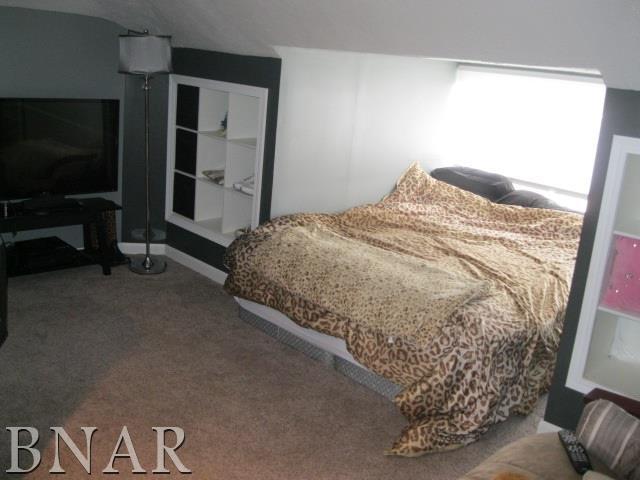 16566 200th Road East Danvers, IL 61732 - Photo 21 of 30