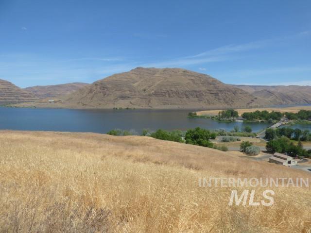 578 Silcott Road Clarkston, WA 99403 - Photo 15 of 47 Water view with mountains
