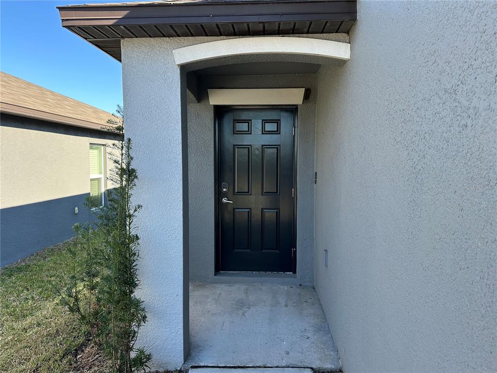 5380 Blue Horizon Way Wimauma, FL 33598 - Photo 4 of 23