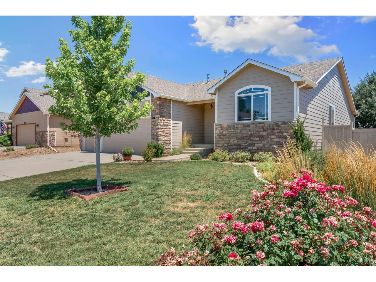 8972 Raging Bull Lane Wellington, CO 80549 - Photo 3 of 45