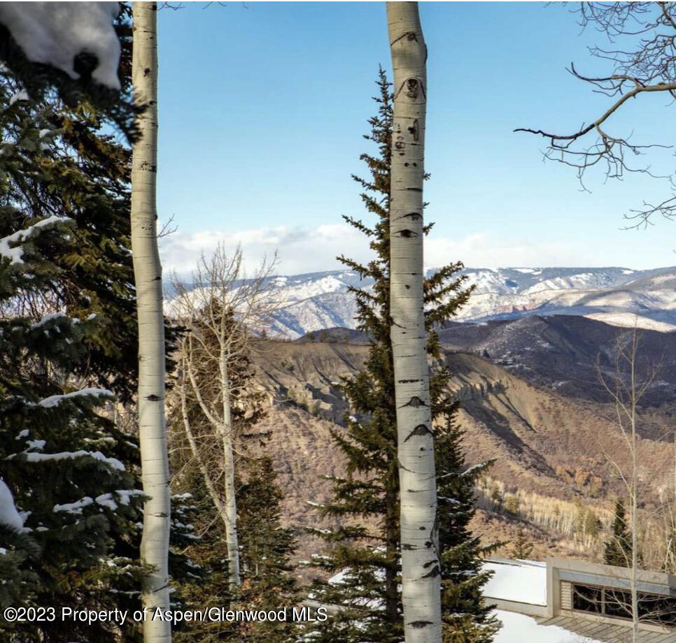 1155 Wood Road Snowmass Village, CO 81615 - Photo 12 of 38 1155 Wood Rd