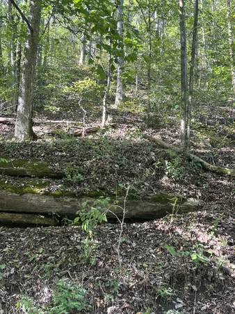 $229,900 | 0 Neeley Creek Road, Celina, TN 38551