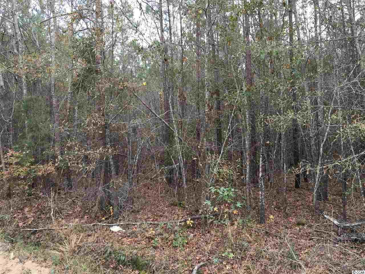 434 Shine Road Johnsonville, SC 29555 - Photo 1 of 4