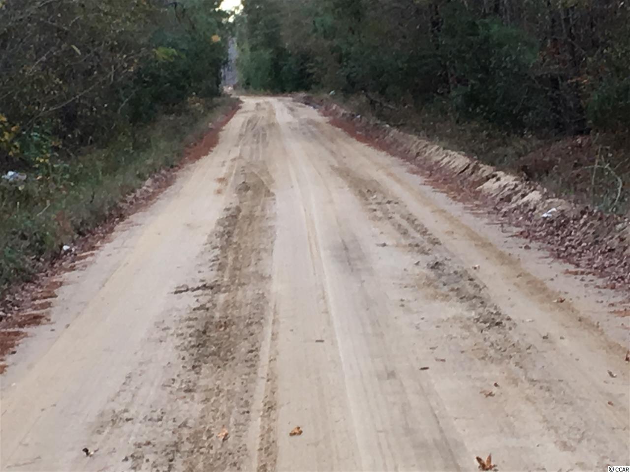 434 Shine Road Johnsonville, SC 29555 - Photo 2 of 4