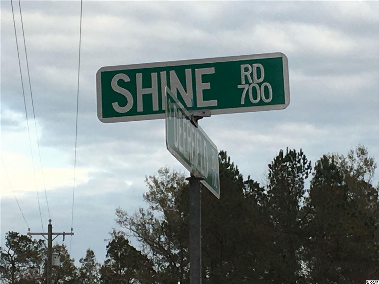 434 Shine Road Johnsonville, SC 29555 - Photo 4 of 4