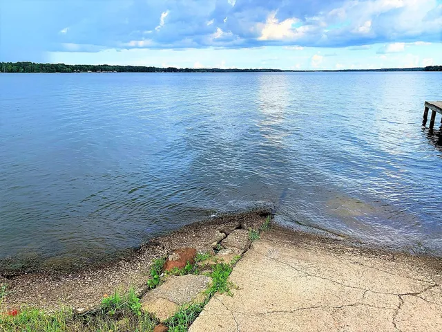 a view of a lake with a city view