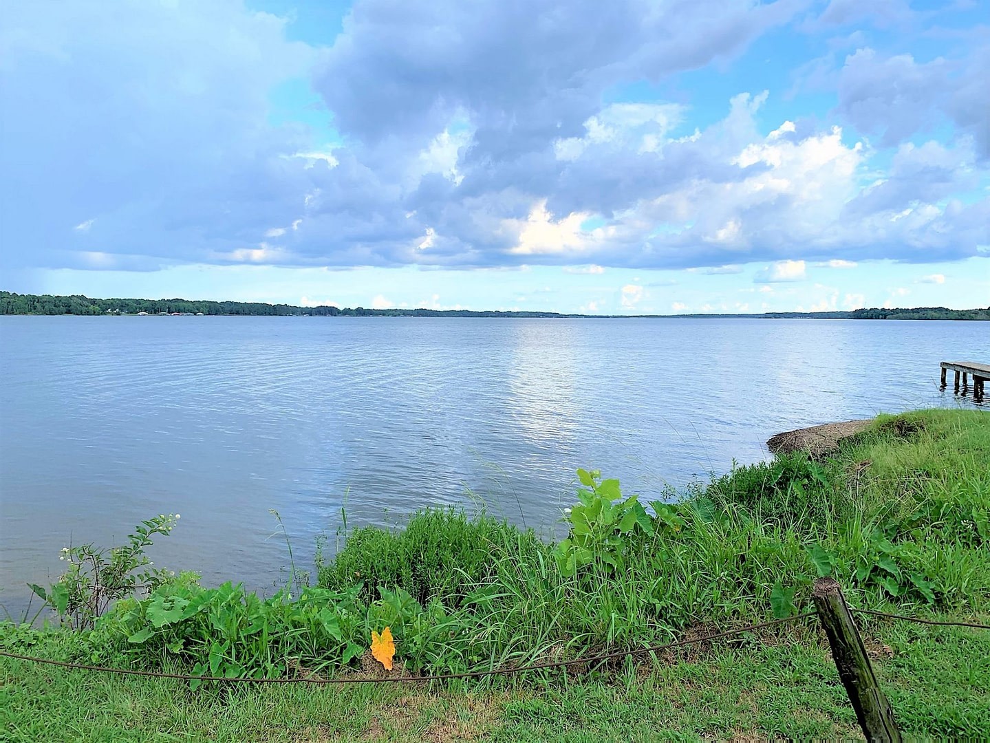 114 Barkley Road Bullard, TX 75757 - Photo 17 of 22 a view of a lake from a yard