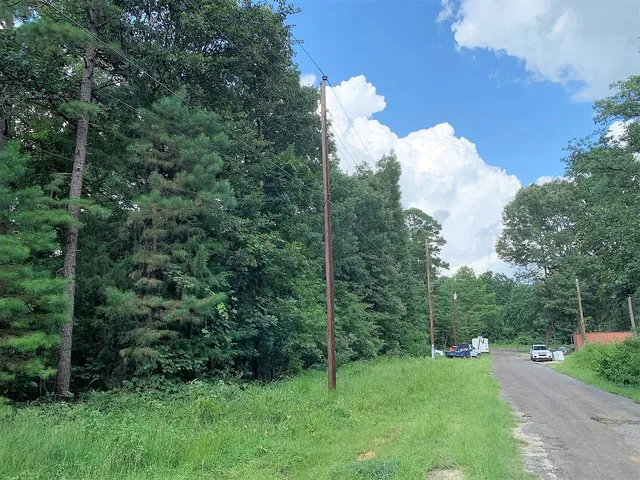 a view of backyard with green space