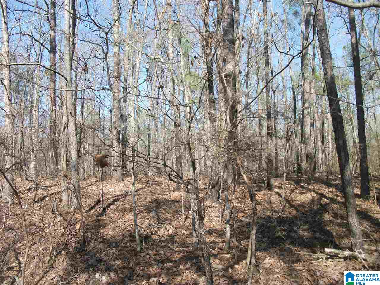 Tbd Old Shocco Road, Unit 4/2 Talladega, AL 35160 - Photo 1 of 2