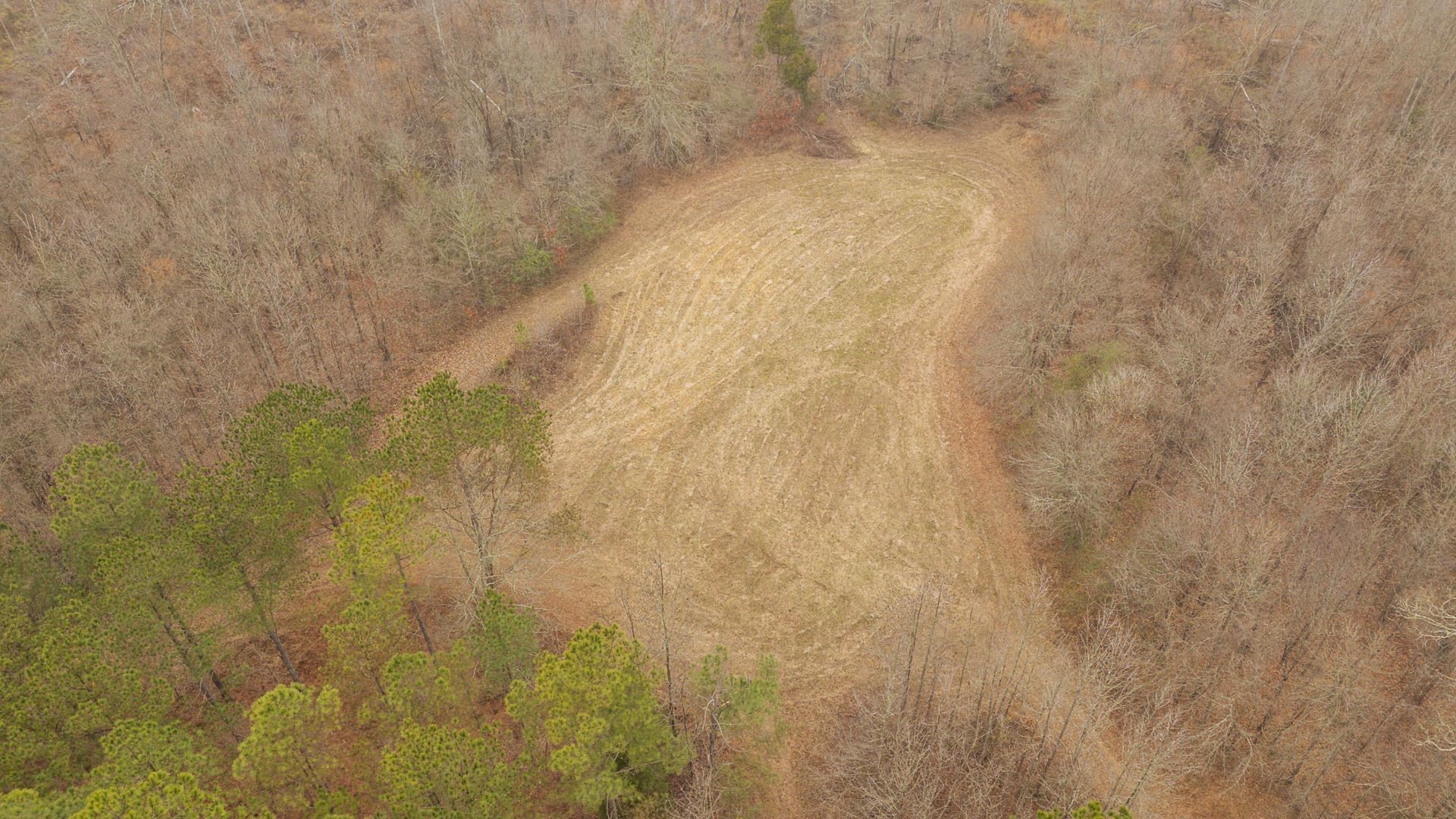 10970 Peavine Road Pocahontas, TN 38061 - Photo 12 of 26