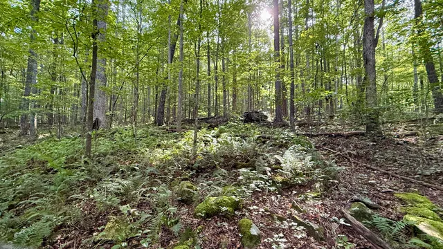 $375,000 | 0 Walker Branch Road, Unit LOT 3, Dunlap, TN 37327