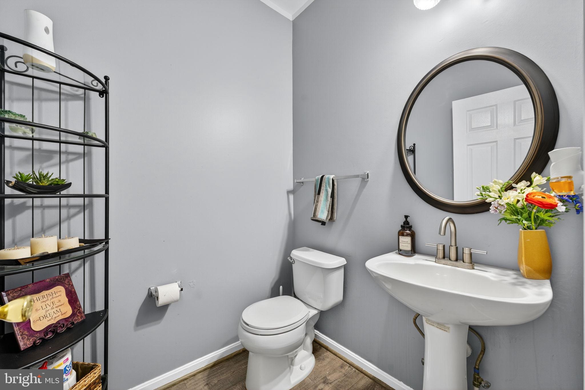 751 Holly Leaf Road Culpeper, VA 22701 - Photo 27 of 65 a bathroom with a sink mirror and toilet