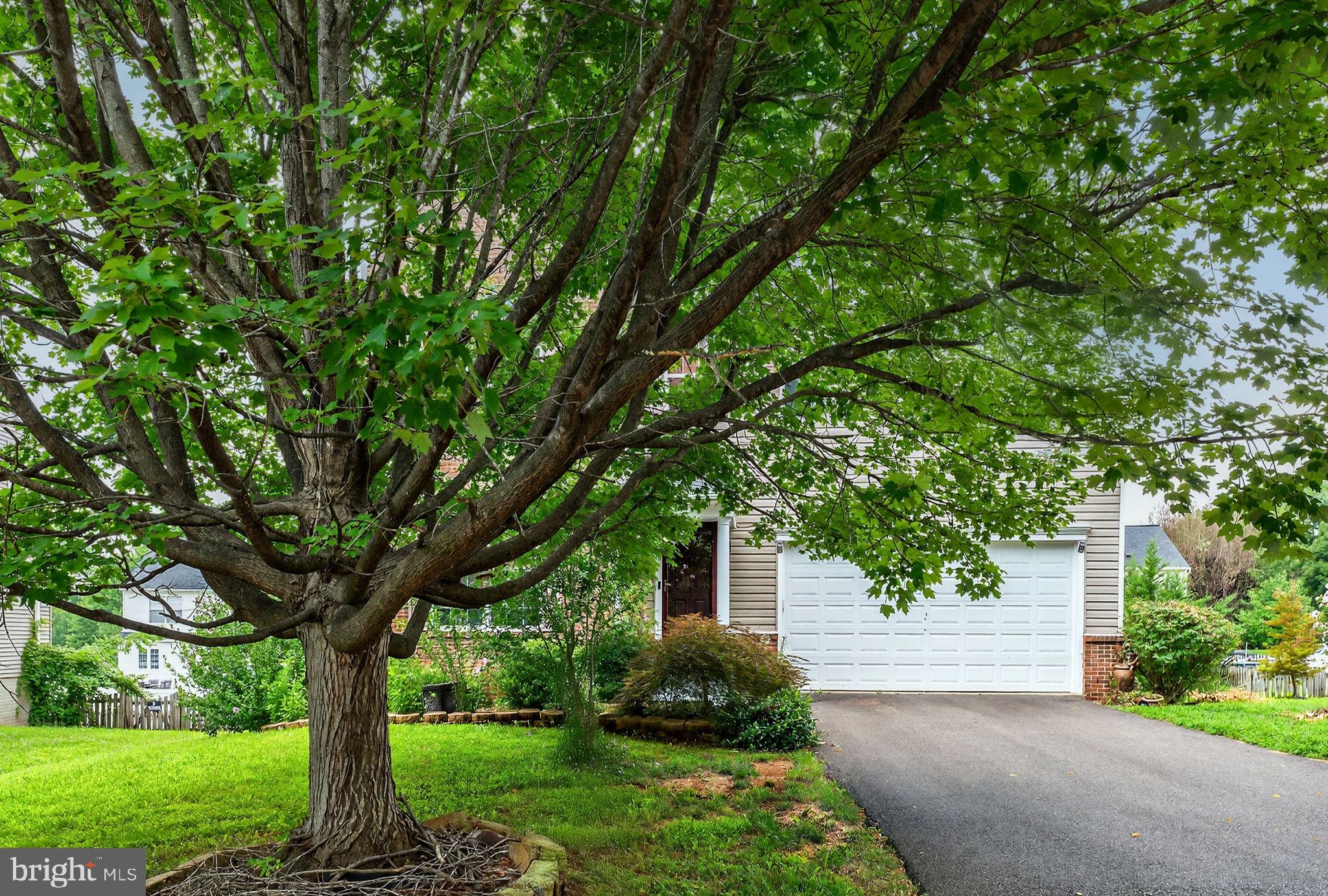 751 Holly Leaf Road Culpeper, VA 22701 - Photo 3 of 65 a front view of a house with a yard