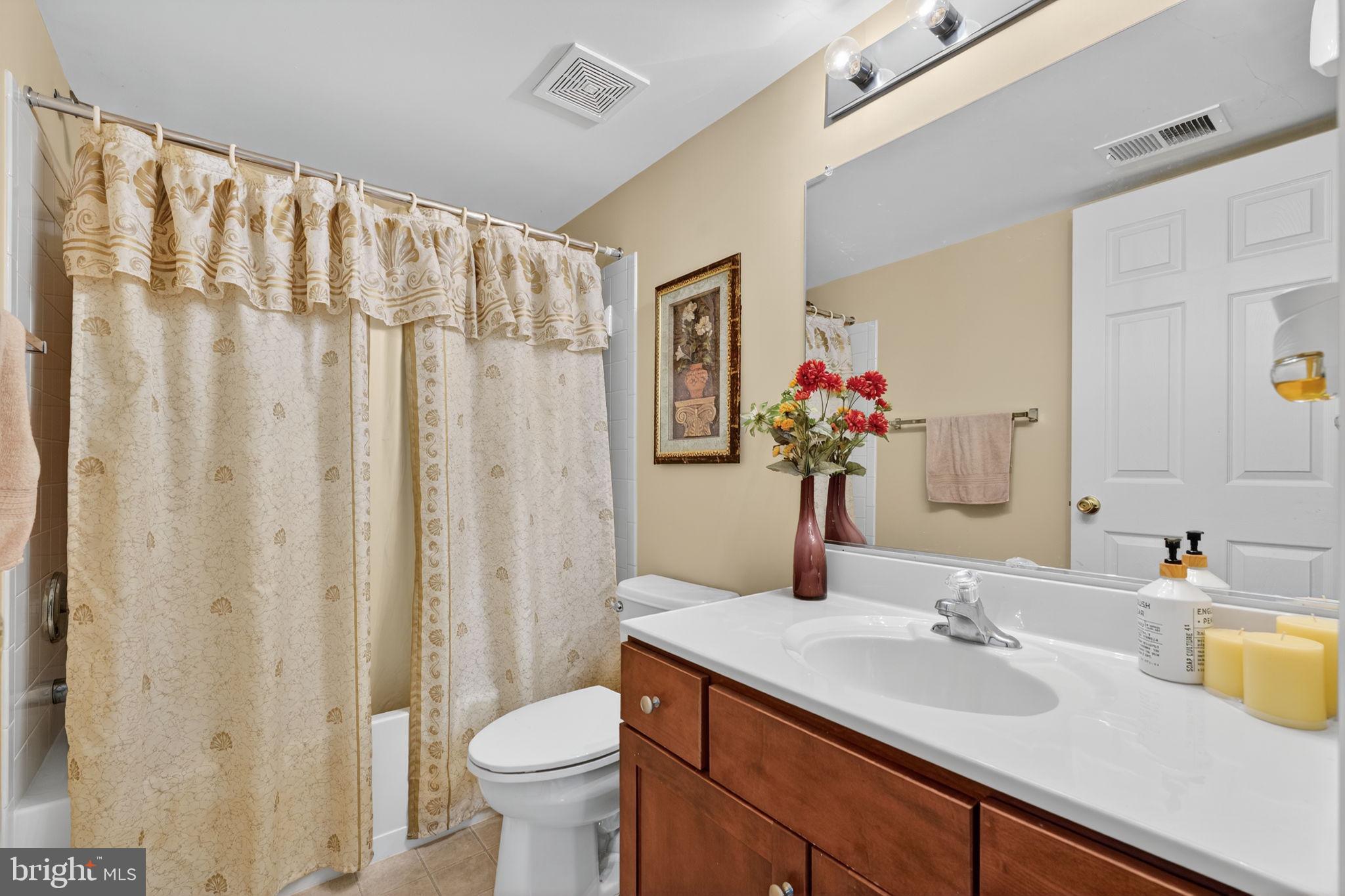 751 Holly Leaf Road Culpeper, VA 22701 - Photo 52 of 65 a bathroom with a sink a toilet and a mirror