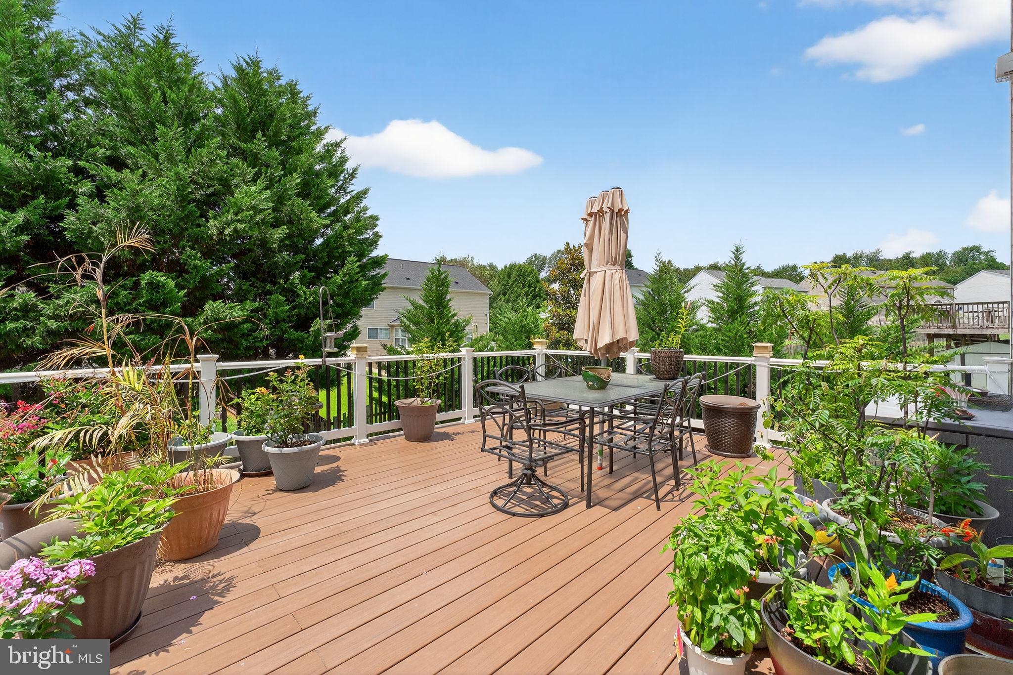 751 Holly Leaf Road Culpeper, VA 22701 - Photo 60 of 65