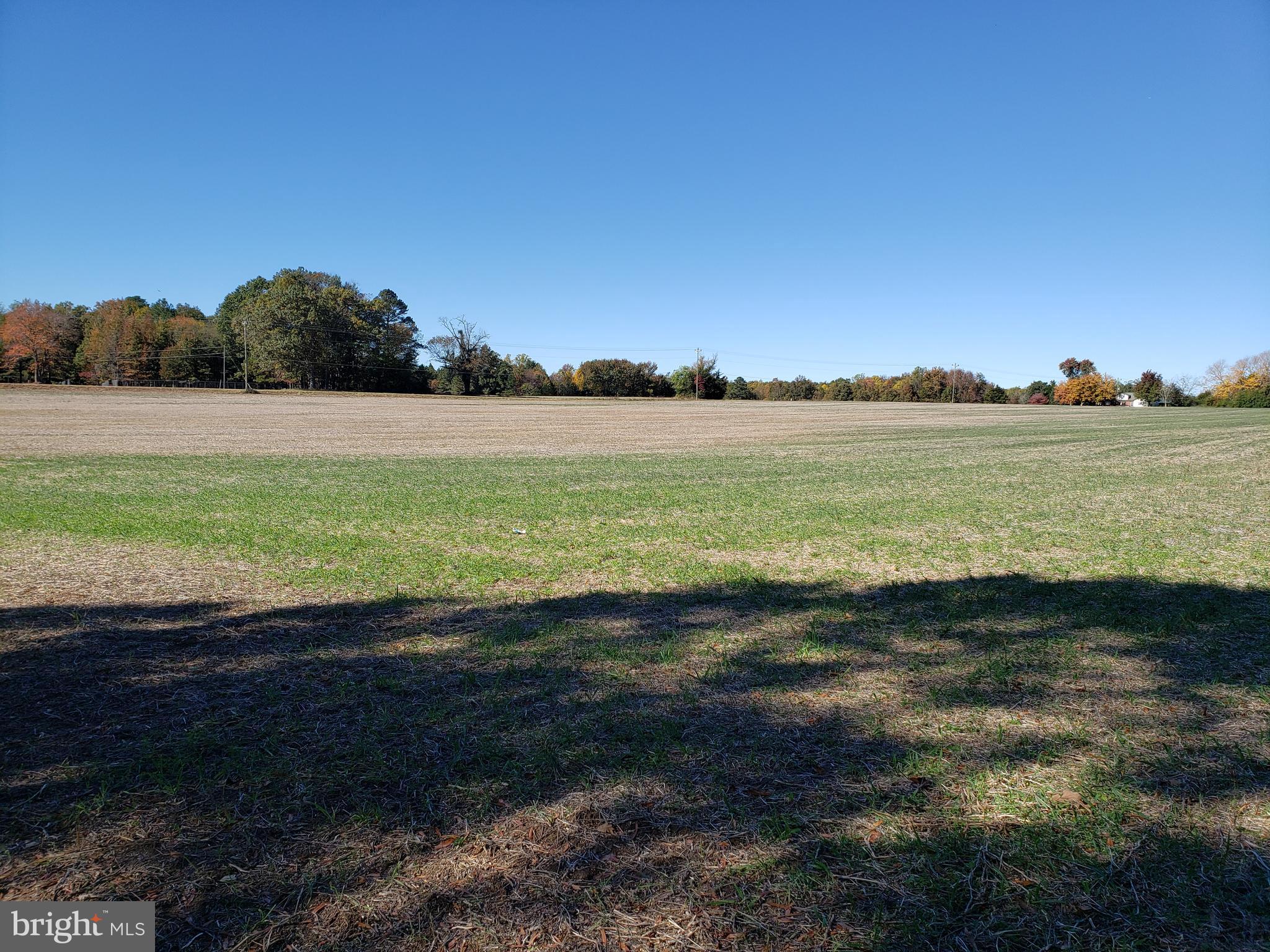 0 Partlow Road Beaverdam, VA 23015 - Photo 2 of 9