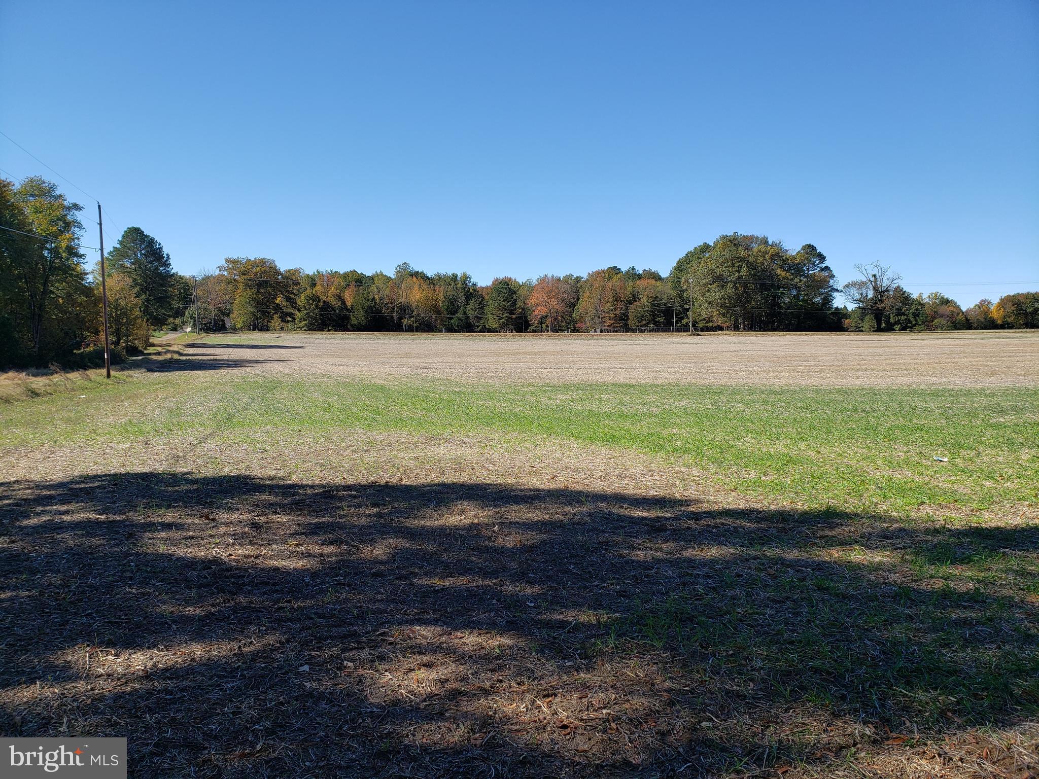 0 Partlow Road Beaverdam, VA 23015 - Photo 3 of 9