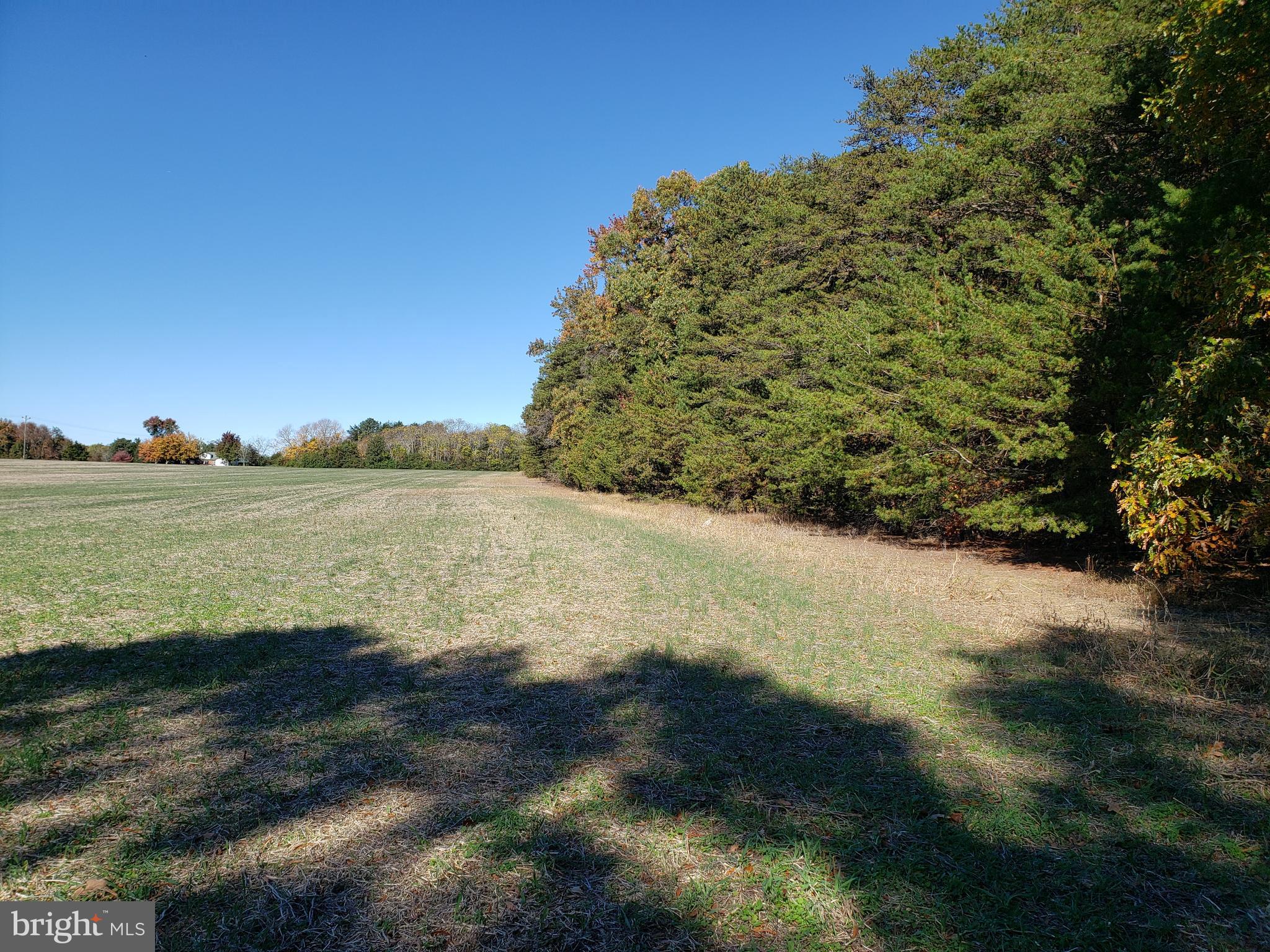 0 Partlow Road Beaverdam, VA 23015 - Photo 4 of 9
