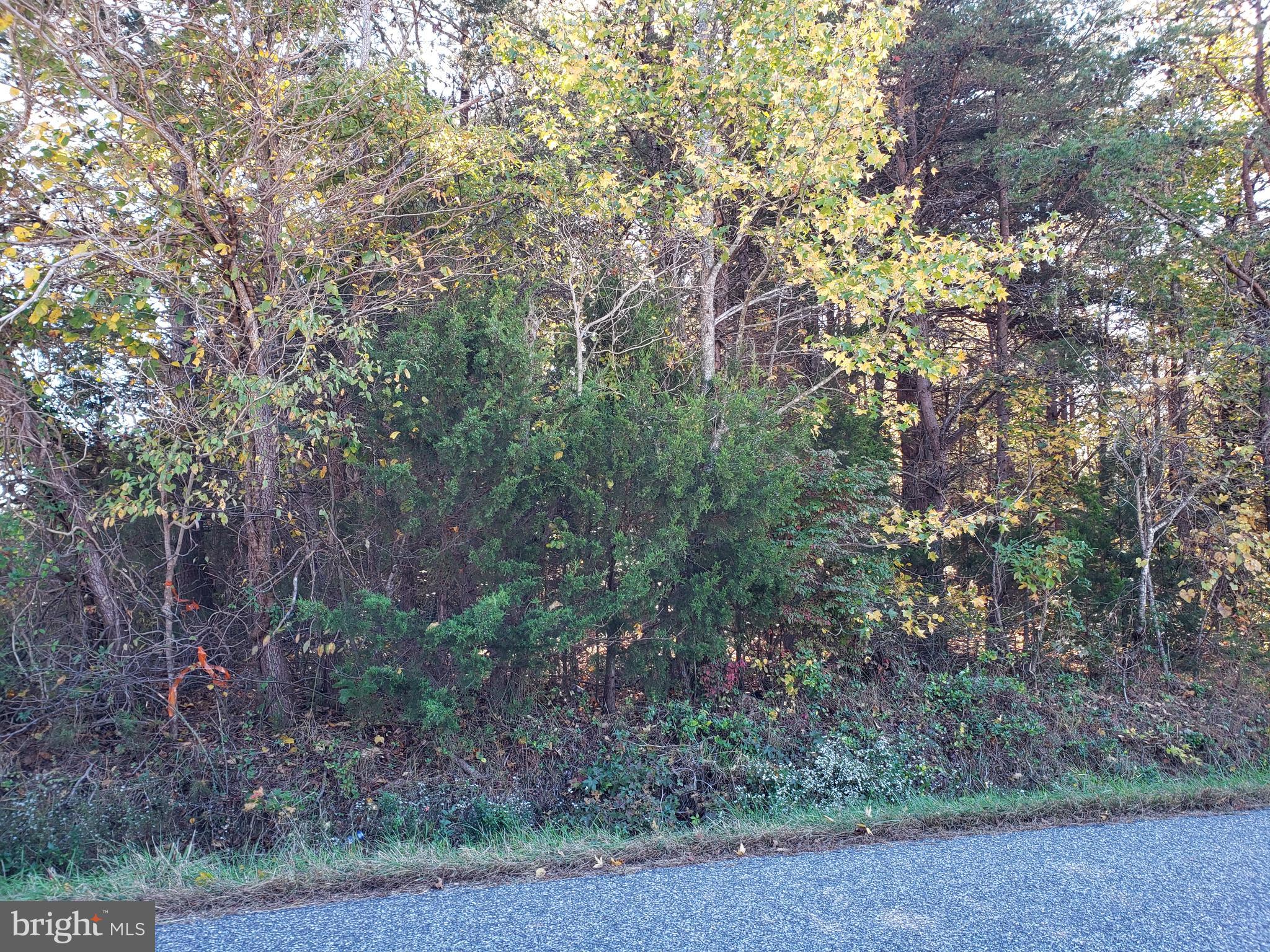 0 Partlow Road Beaverdam, VA 23015 - Photo 5 of 9