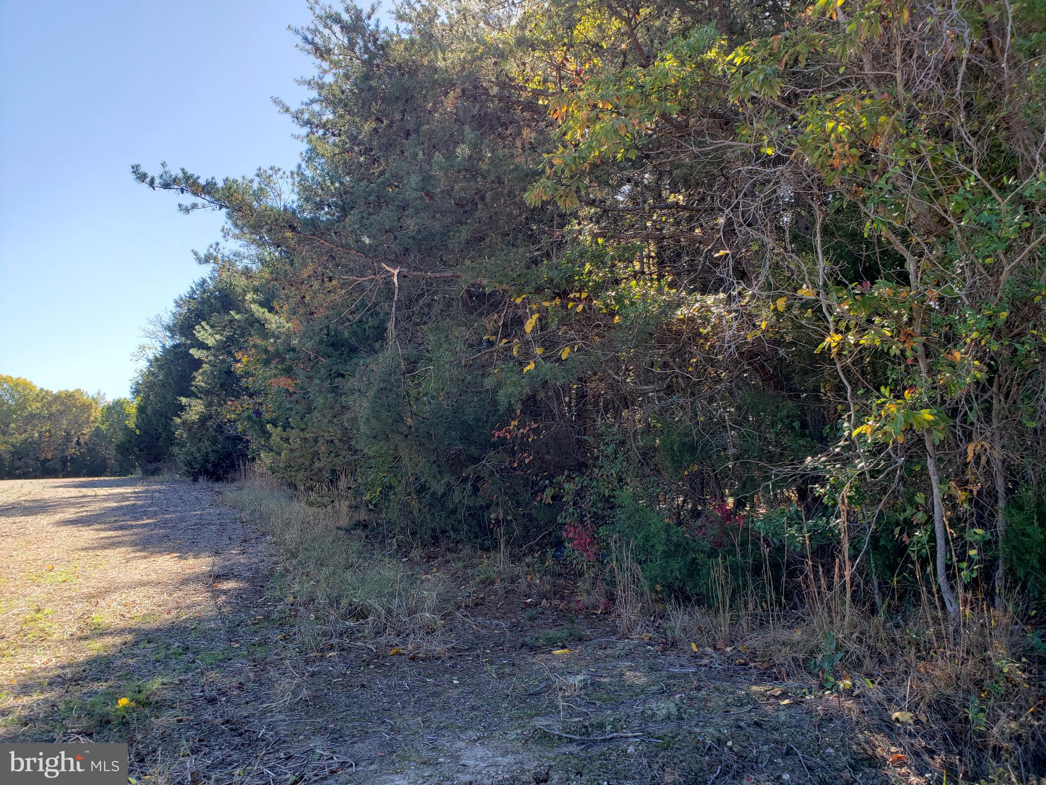 0 Partlow Road Beaverdam, VA 23015 - Photo 7 of 9