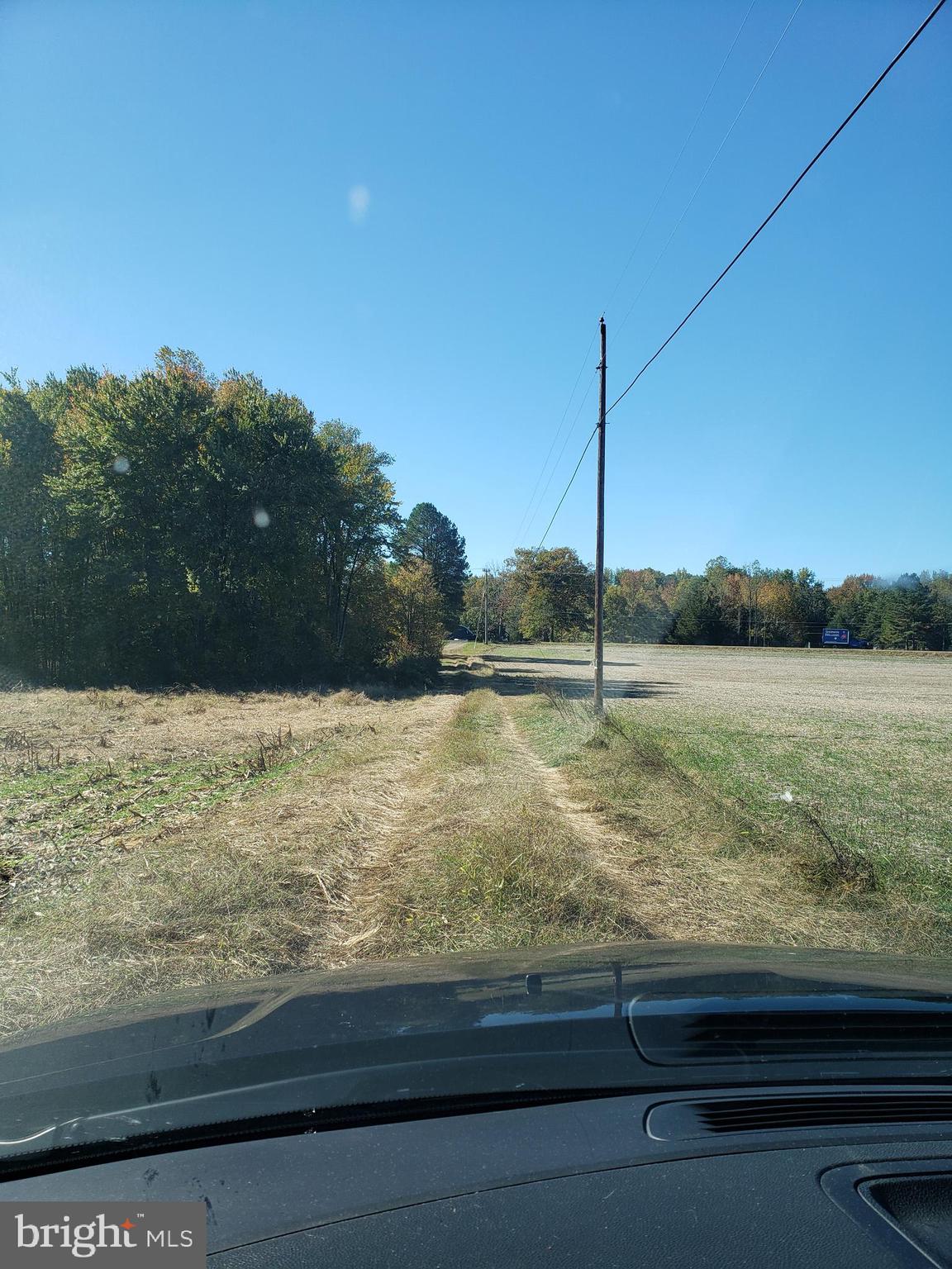 0 Partlow Road Beaverdam, VA 23015 - Photo 8 of 9