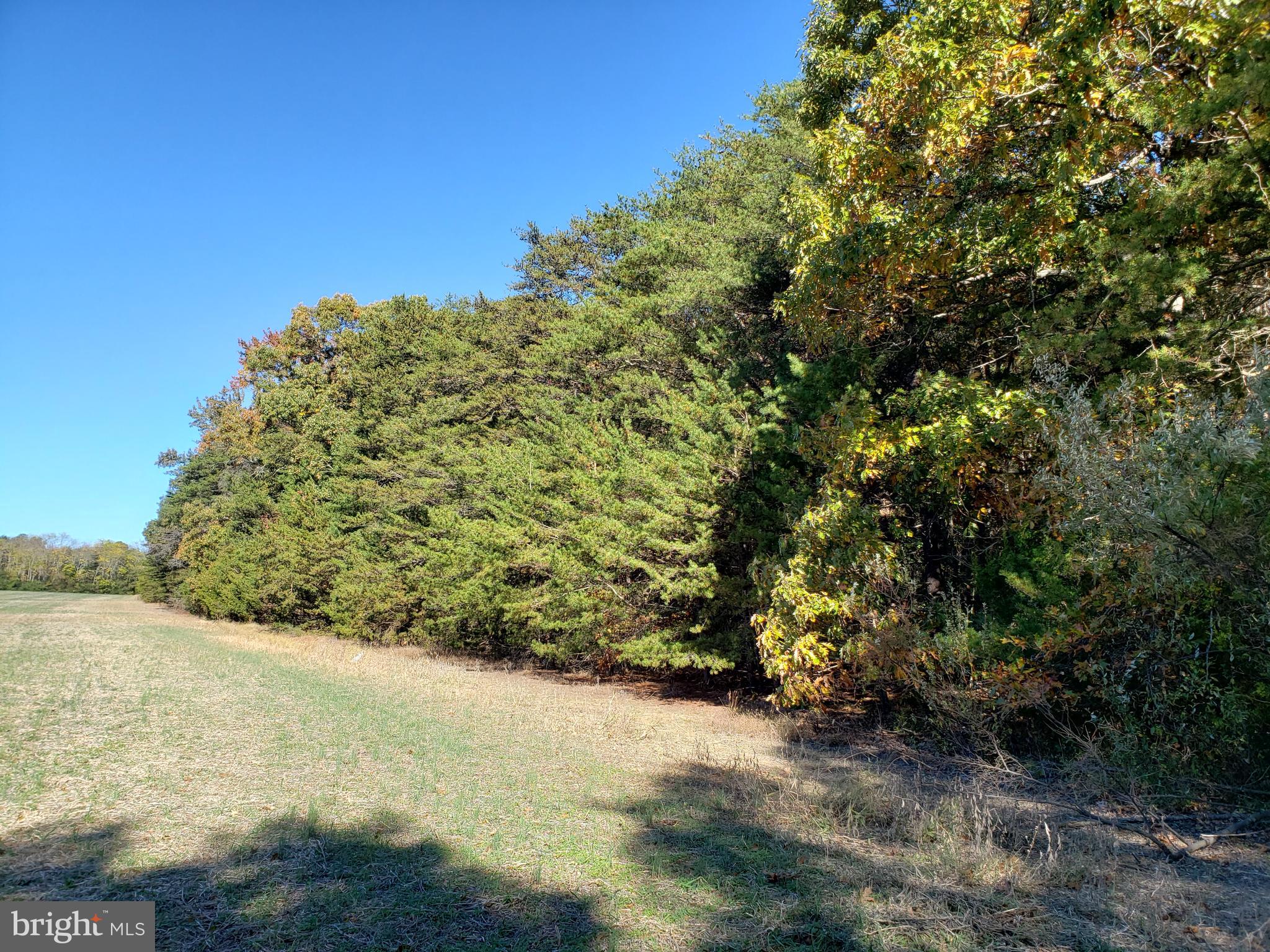 0 Partlow Road Beaverdam, VA 23015 - Photo 9 of 9