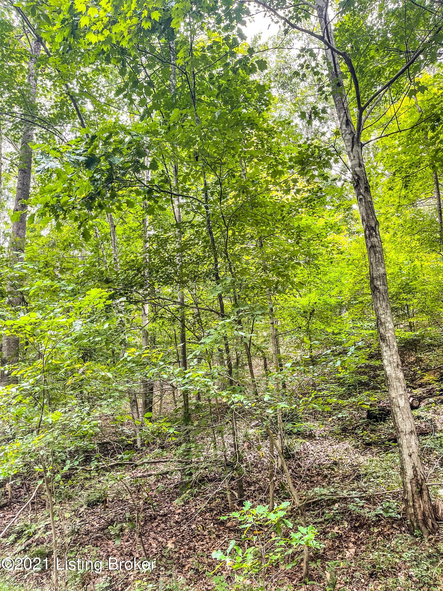 11390 Peonia Road Clarkson, KY 42726 - Photo 10 of 13 Copy of 746FD217-F9EE-480B-9962-0E3E6309