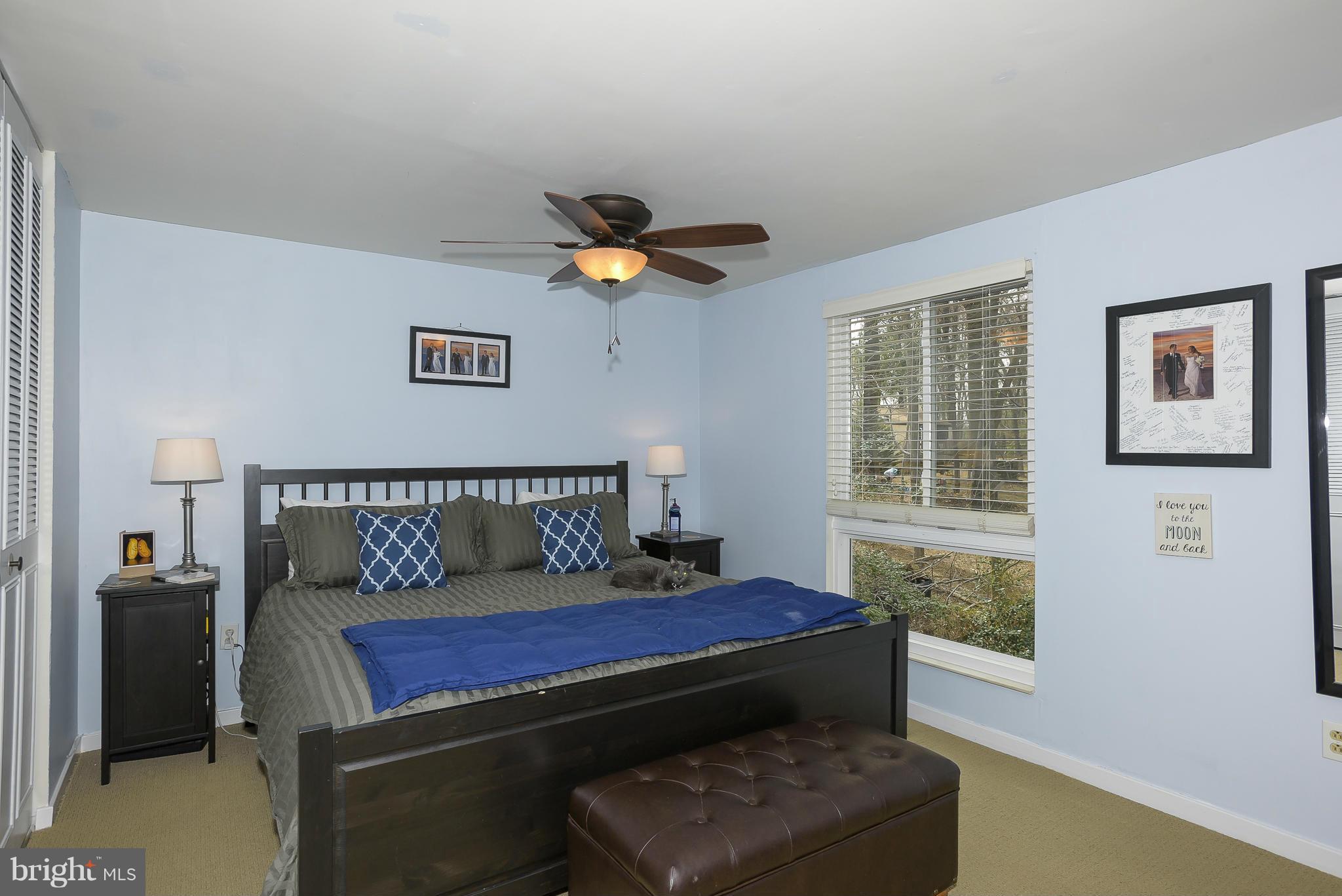 6264 Sandchain Road Columbia, MD 21045 - Photo 13 of 30 Bedroom (Master)