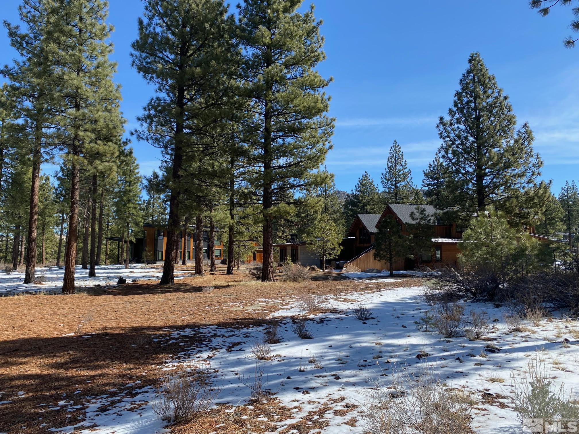 238 Redding Way, Unit 238 Carson City, NV 89705 - Photo 3 of 40 a view of road with covered with trees