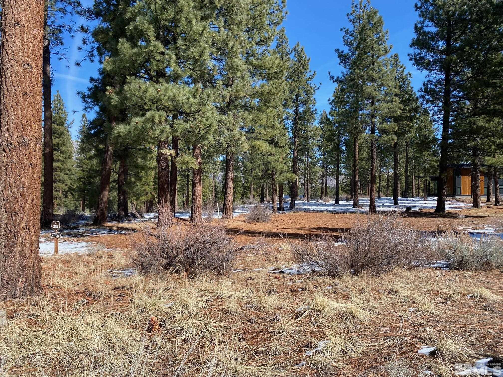 238 Redding Way, Unit 238 Carson City, NV 89705 - Photo 5 of 40 a view of road with trees