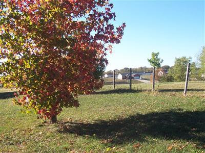 220 Ballard Road Berea, KY 40403 - Photo 9 of 43 Photo 9
