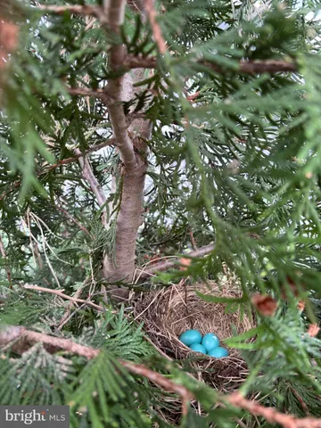 $695,000 | 215 Rustic Wood Drive, Gettysburg, PA 17325