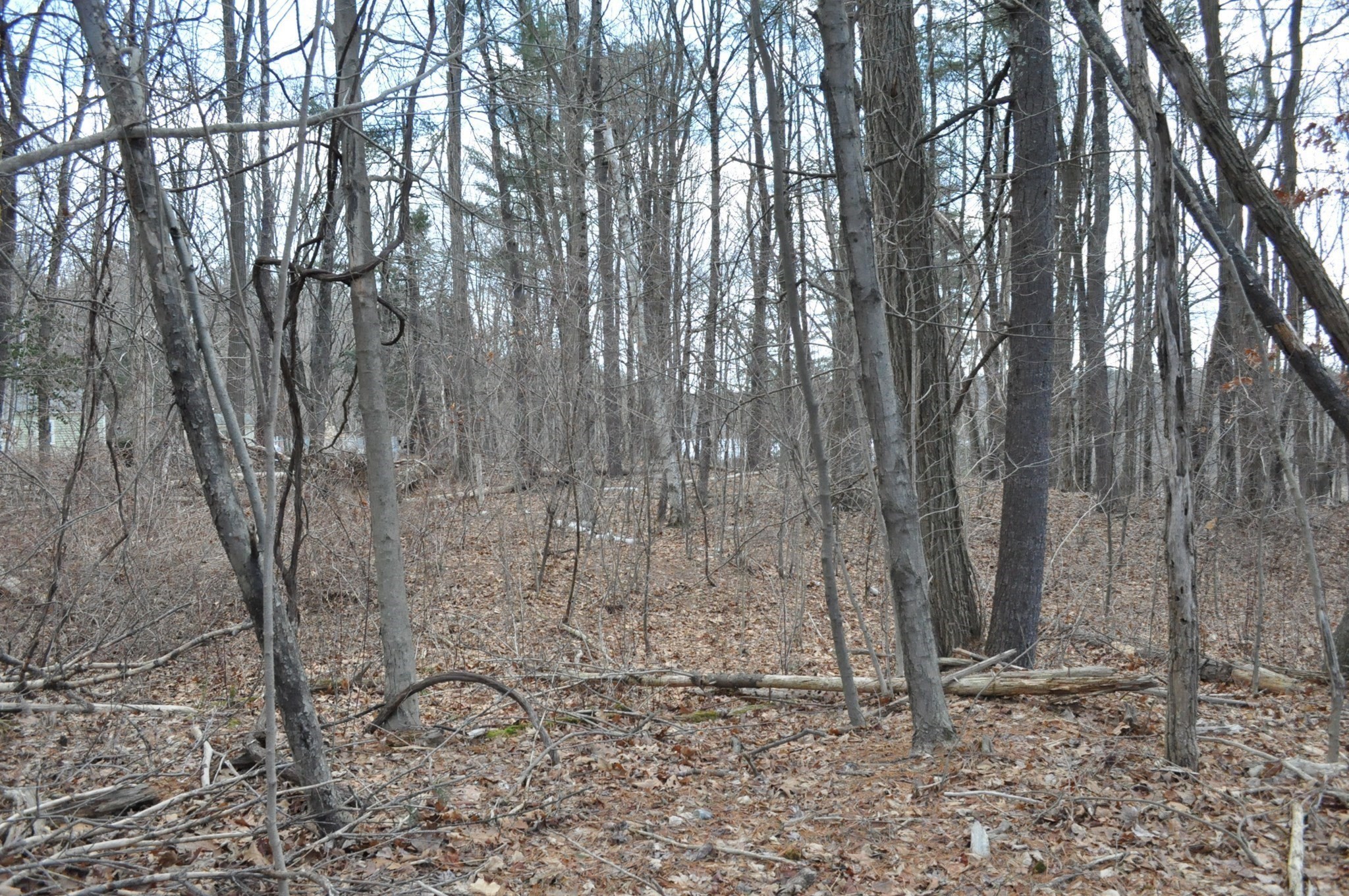 1010 Ryan Road Northampton, MA 01062 - Photo 30 of 42 Gallery Image 30