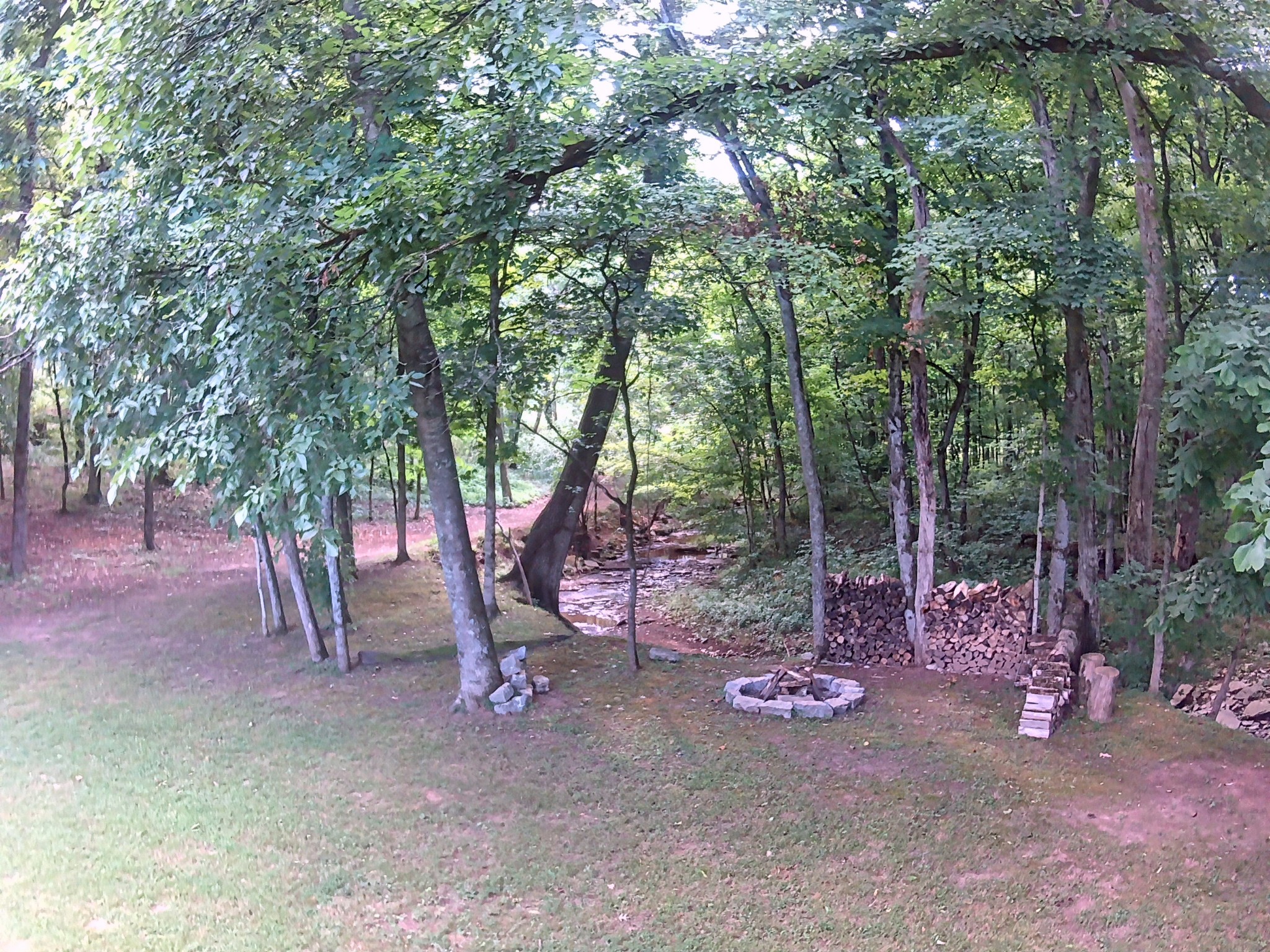 1705 Zevon Court Spring Hill, TN 37174 - Photo 8 of 50 Gallery Image 8