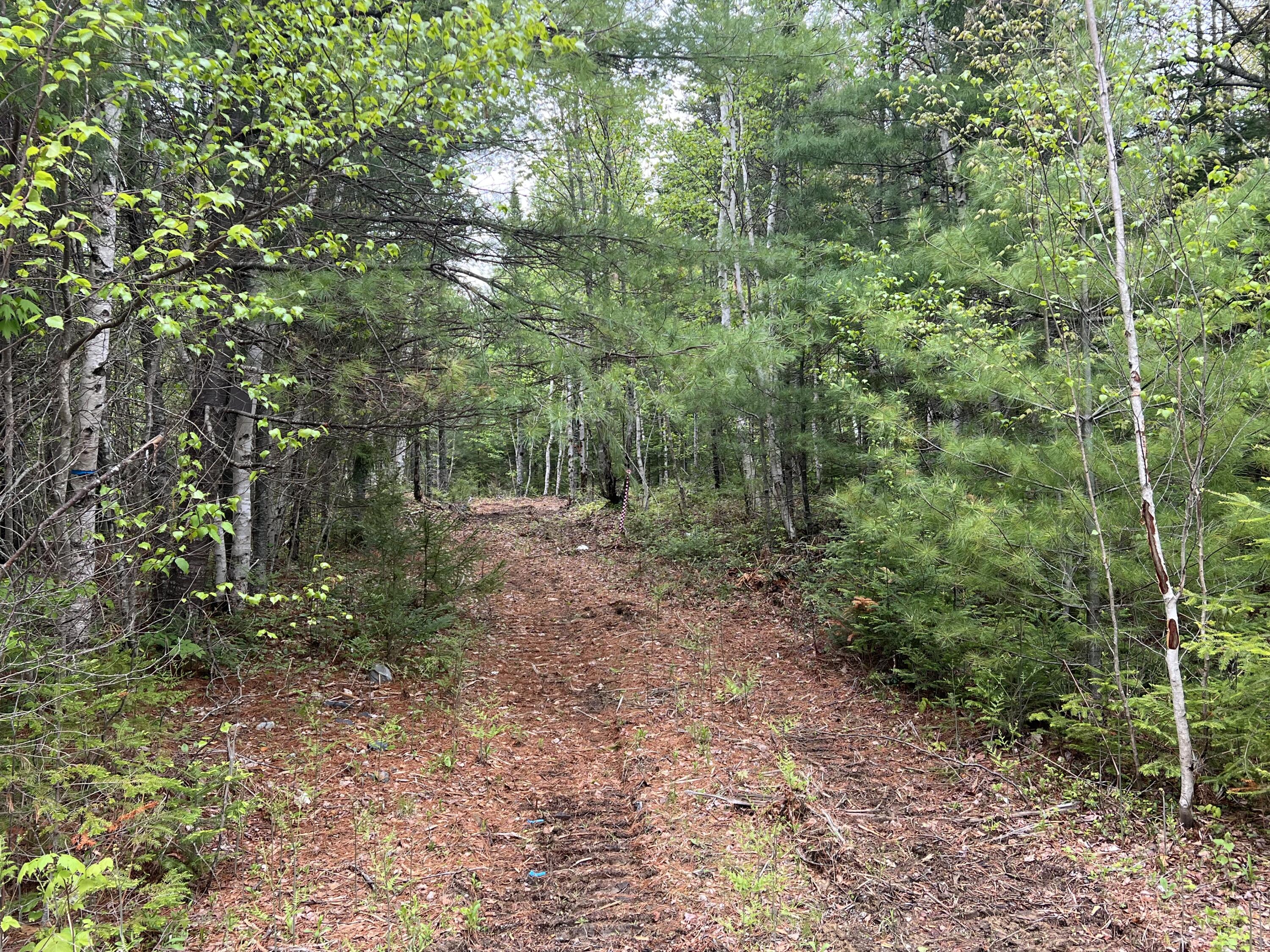 4 Taylor Woods Road Ellsworth, ME 04605 - Photo 3 of 8 IMG_5838